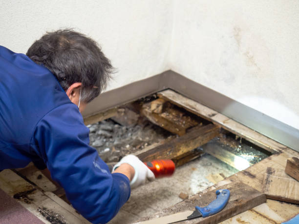 Hurst, TX Mold Remediation Company