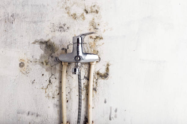 Best Mold Remediation for Specific Building Types in Hurst, TX