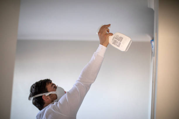 Best Preventive Mold Services in Hurst, TX