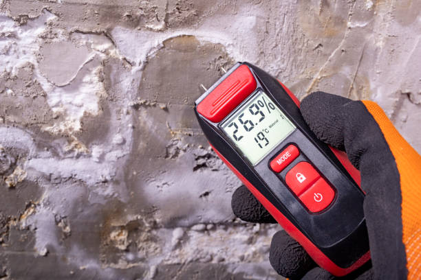 Best Commercial Mold Remediation in Hurst, TX