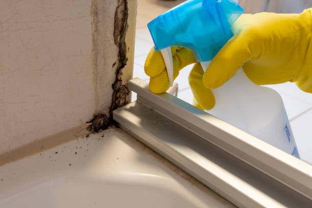 Best Insurance-Related Mold Remediation in Hurst, TX