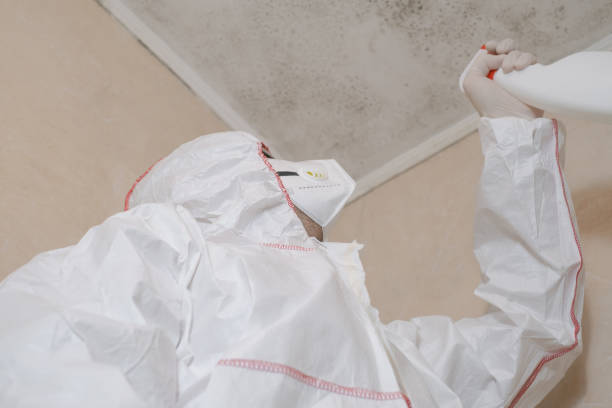 Best Post-Flood Mold Remediation in Hurst, TX